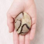 Black Septarian Palm Stones=