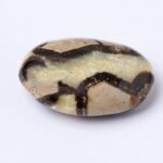 Black Septarian Palm Stones=