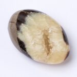 Black Septarian Palm Stones=