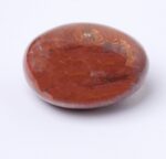 Petrified Wood Palm Stones