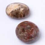 Petrified Wood Palm Stones