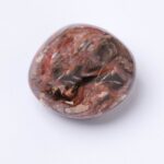 Petrified Wood Palm Stones