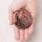 Petrified Wood Palm Stones