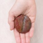 Petrified Wood Palm Stones