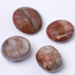 Petrified Wood Palm Stones