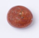 Petrified Wood Palm Stones