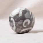 Shell Fossil Sphere with Tripod